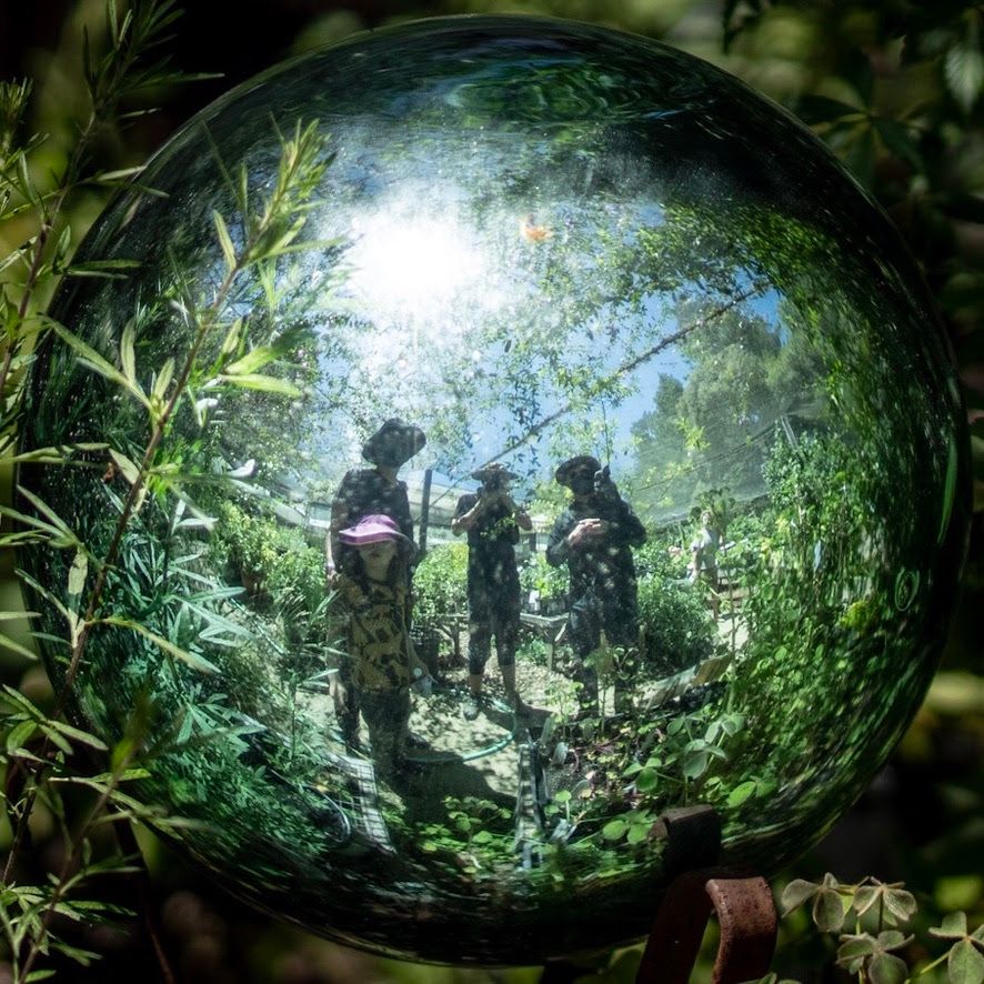 fisheye photo of 3 adults & a small child surrounded by plants