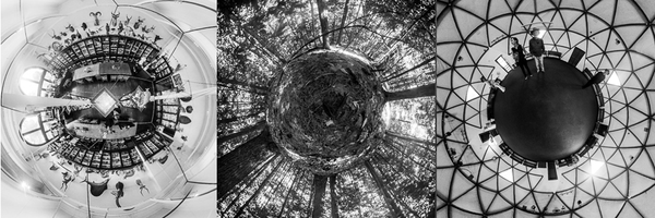 360 spherical photographs of risd nature lab, a grove of trees, a dome in new mexico